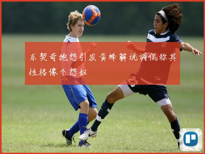 东契奇抱怨引发黄蜂解说调侃称其性格像个怨妇